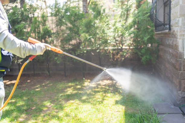 Best Mosquito Control  in USA